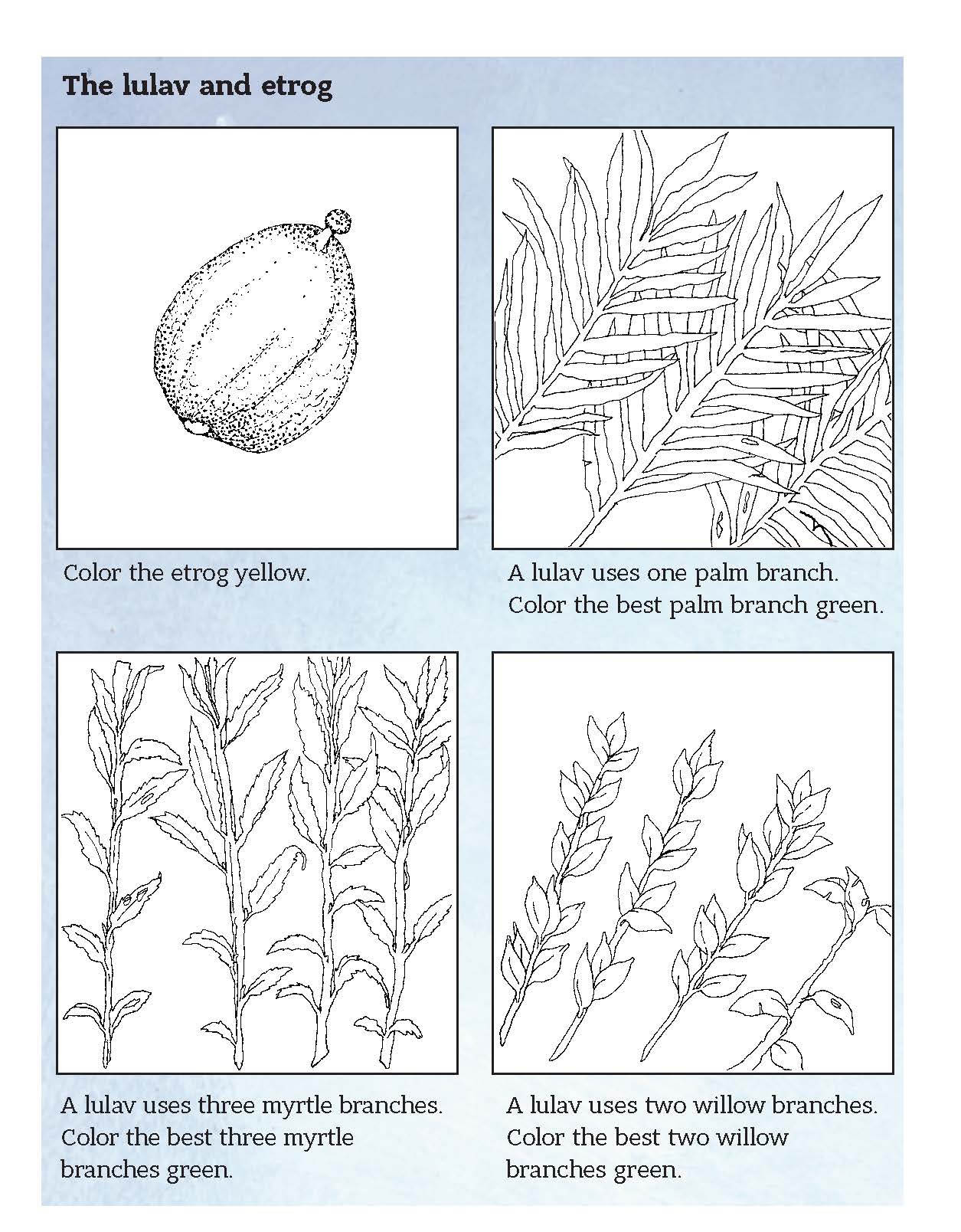 Shanah Tovah Student Pack