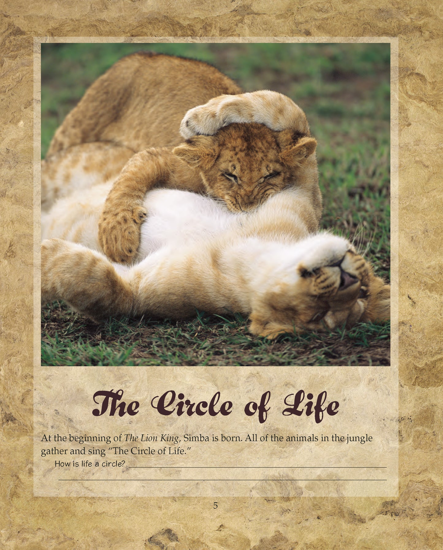 Circle of Jewish Life First Edition