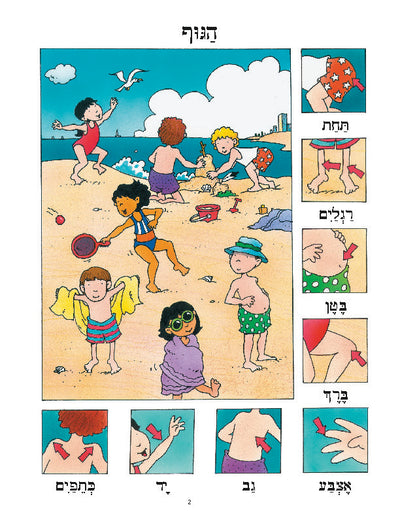 Daber Ivrit - The Body