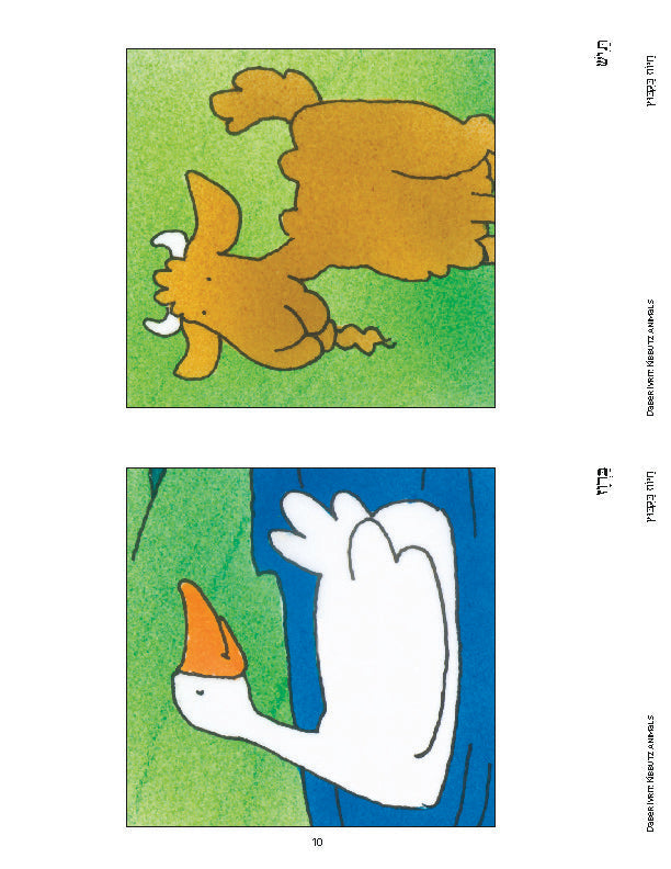 Illustrations of a goat and a duck from "Daber Ivrit: Animals on the Kibbutz" lesson.
