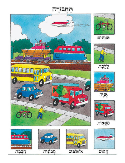 Colorful Hebrew transportation poster for learning modes of travel, 22" x 32", durable material.