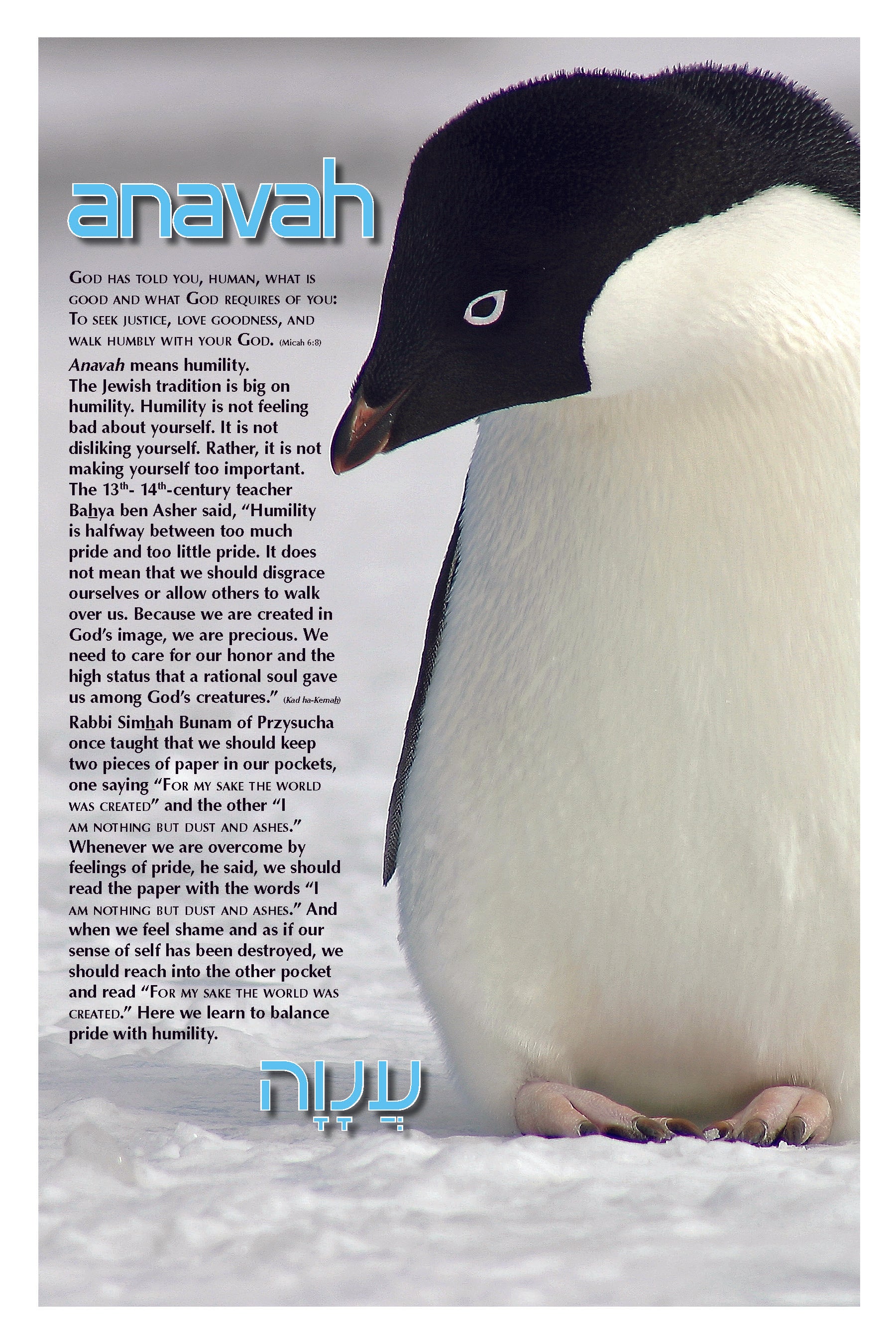 Living Jewish Values - Anavah Poster