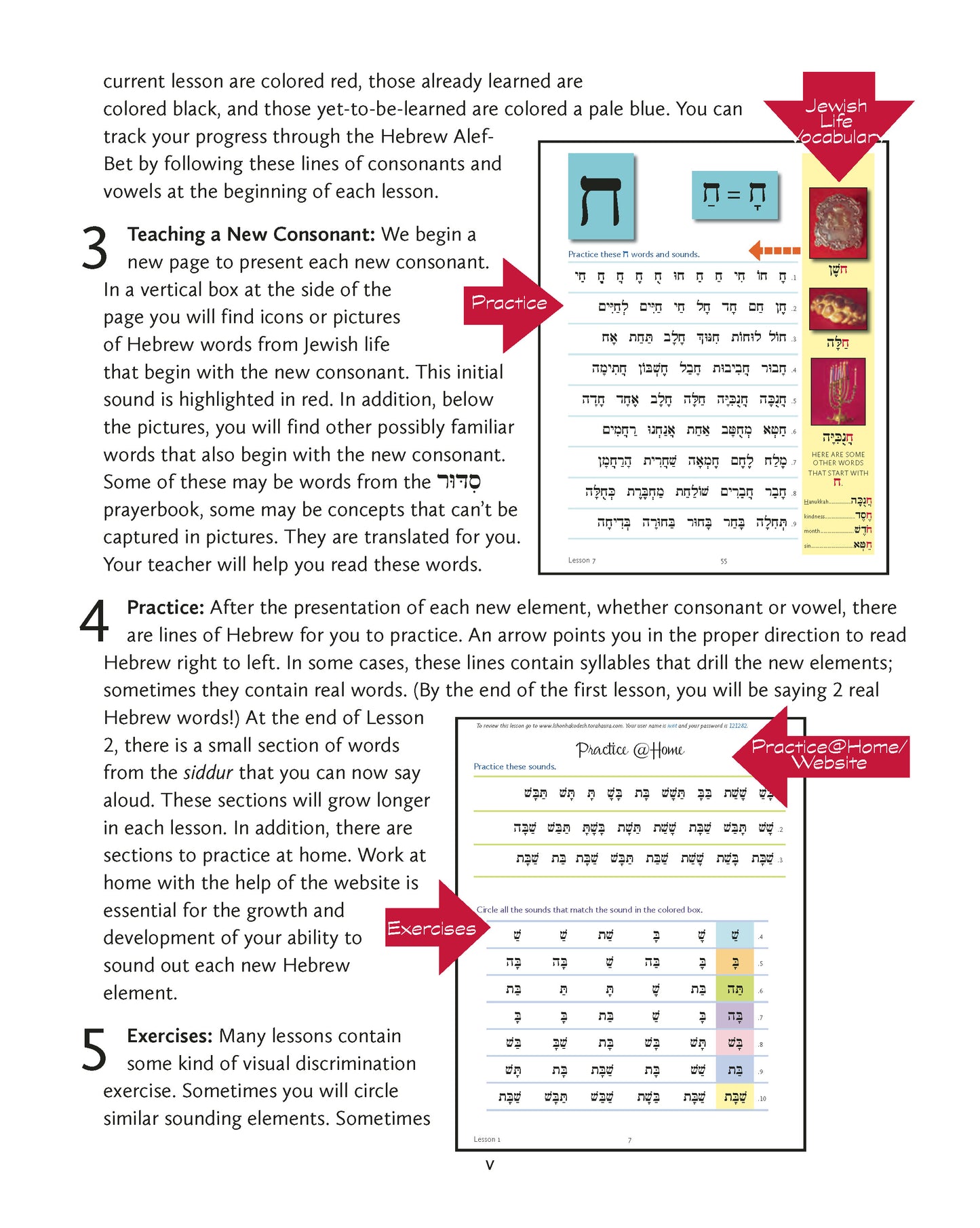 L'Shon Ha-Kodesh Adult Beginning Hebrew