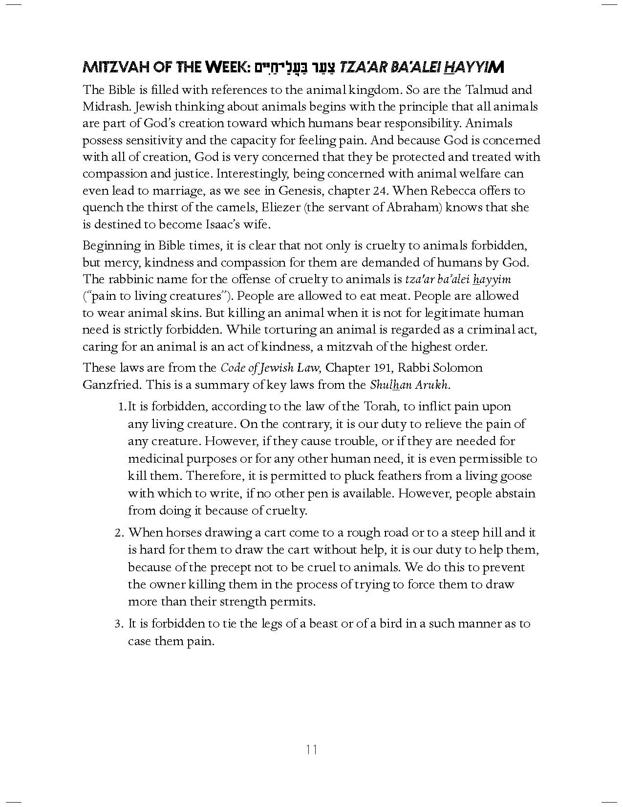 Parashah Experiencing the Weekly Torah Portion