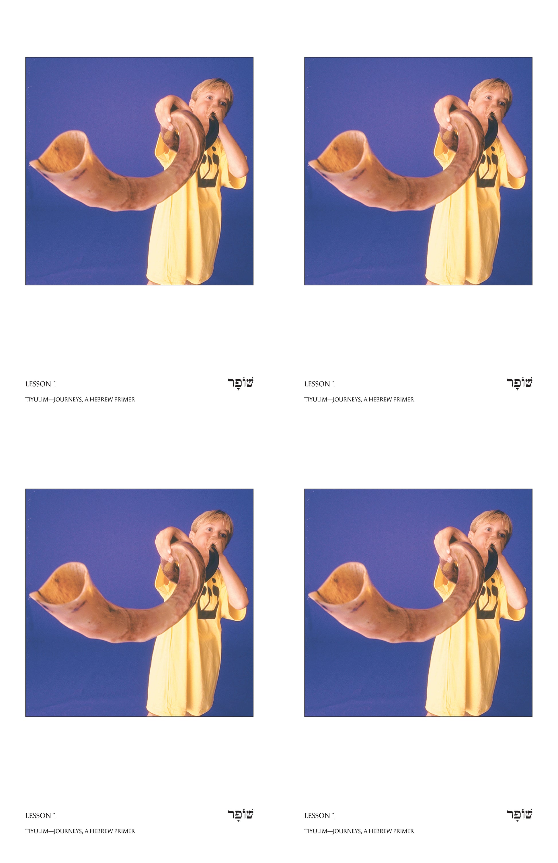 Tiyulim Vocabulary Posters