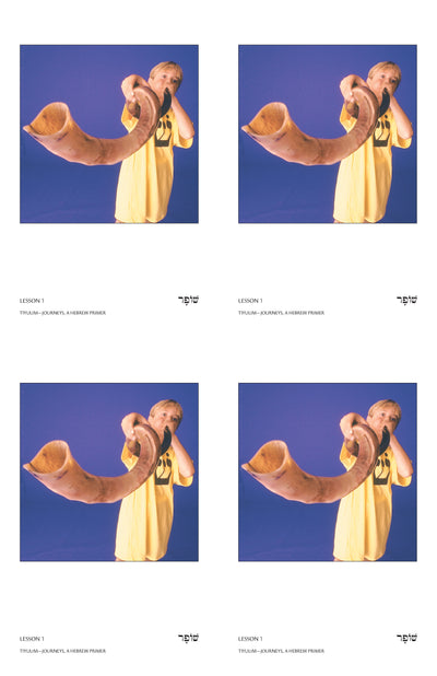 Tiyulim Vocabulary Posters