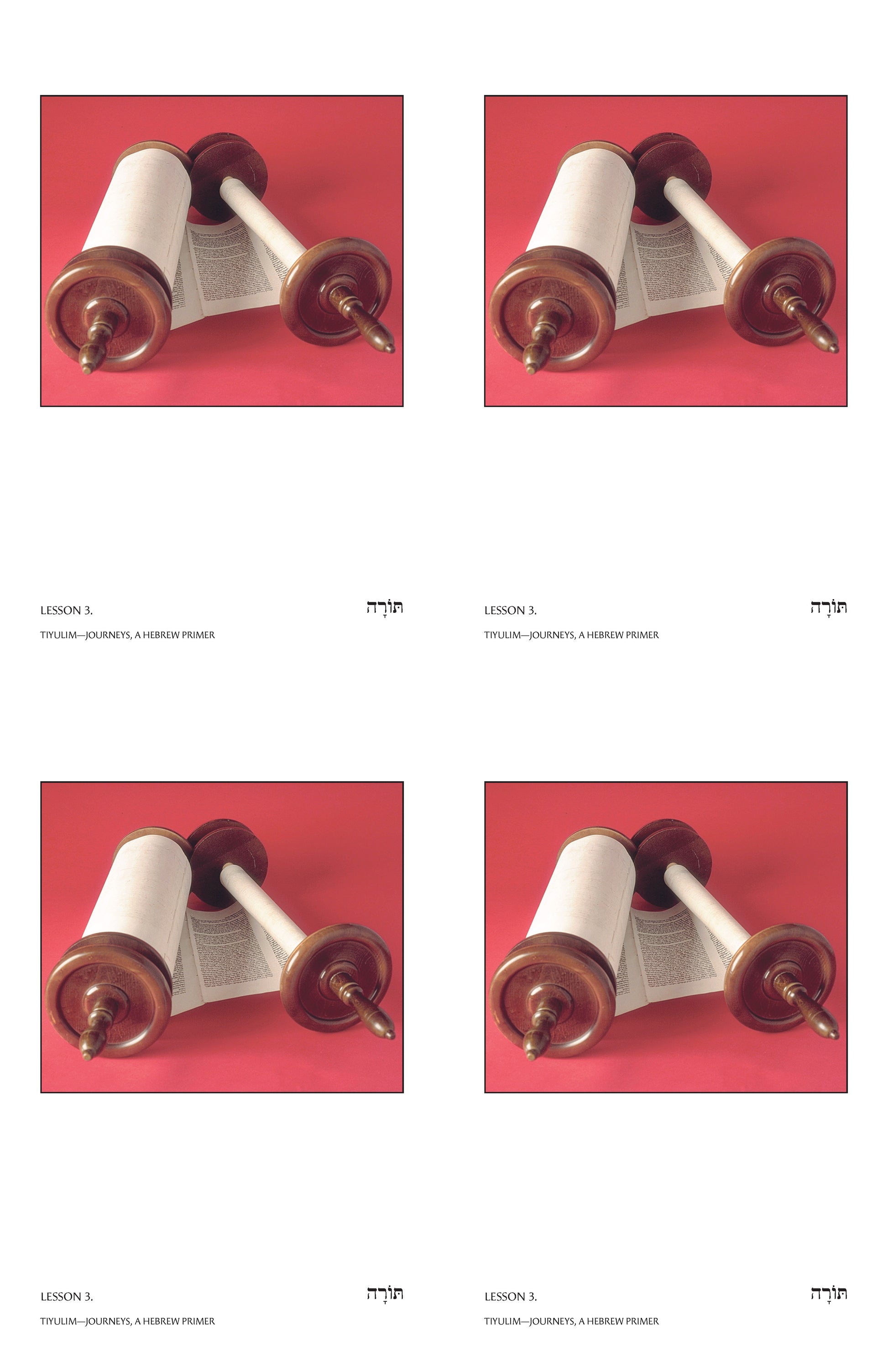 Tiyulim Vocabulary Posters