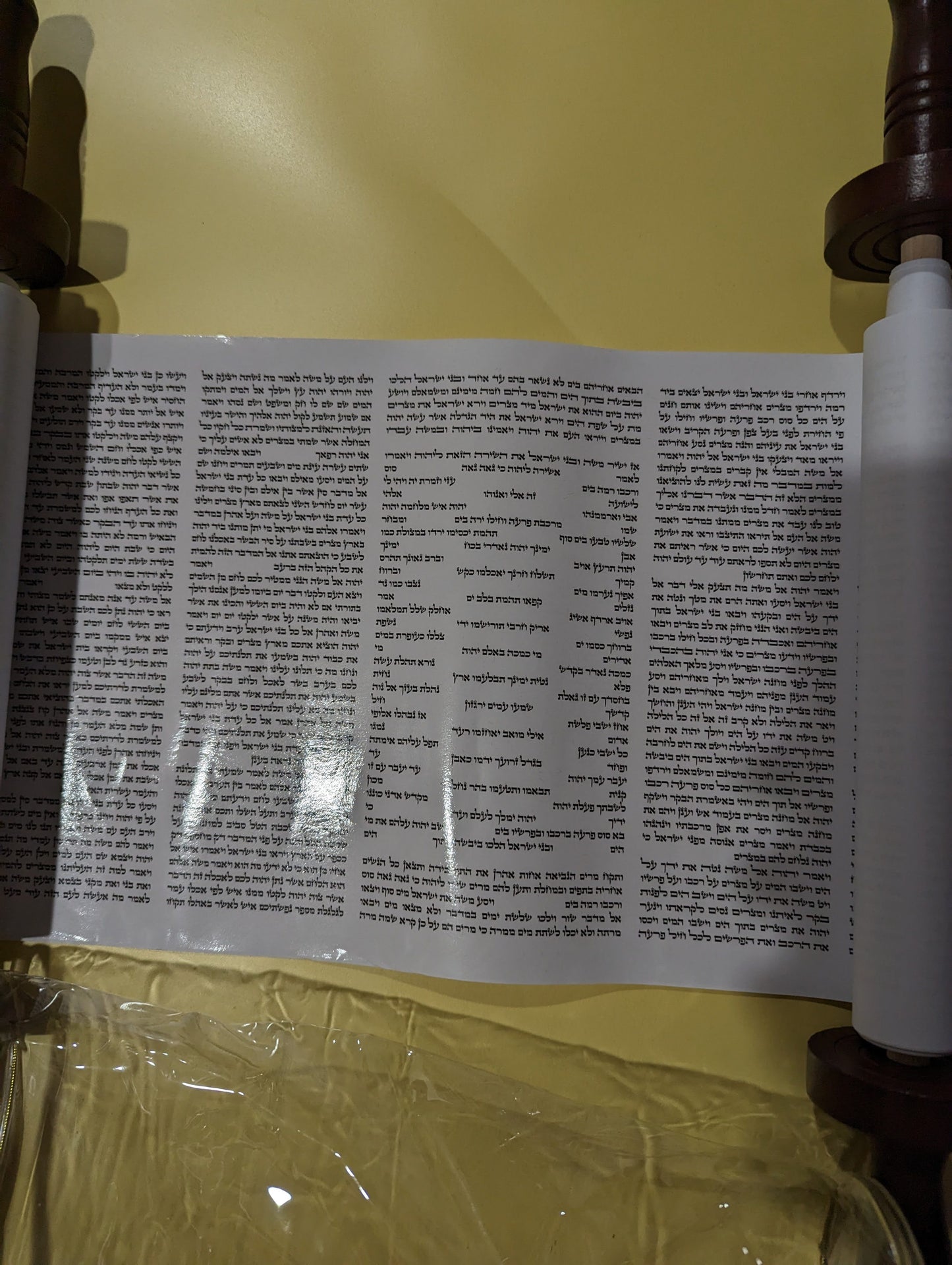 Printed Sefer Torah Scroll 17.5"