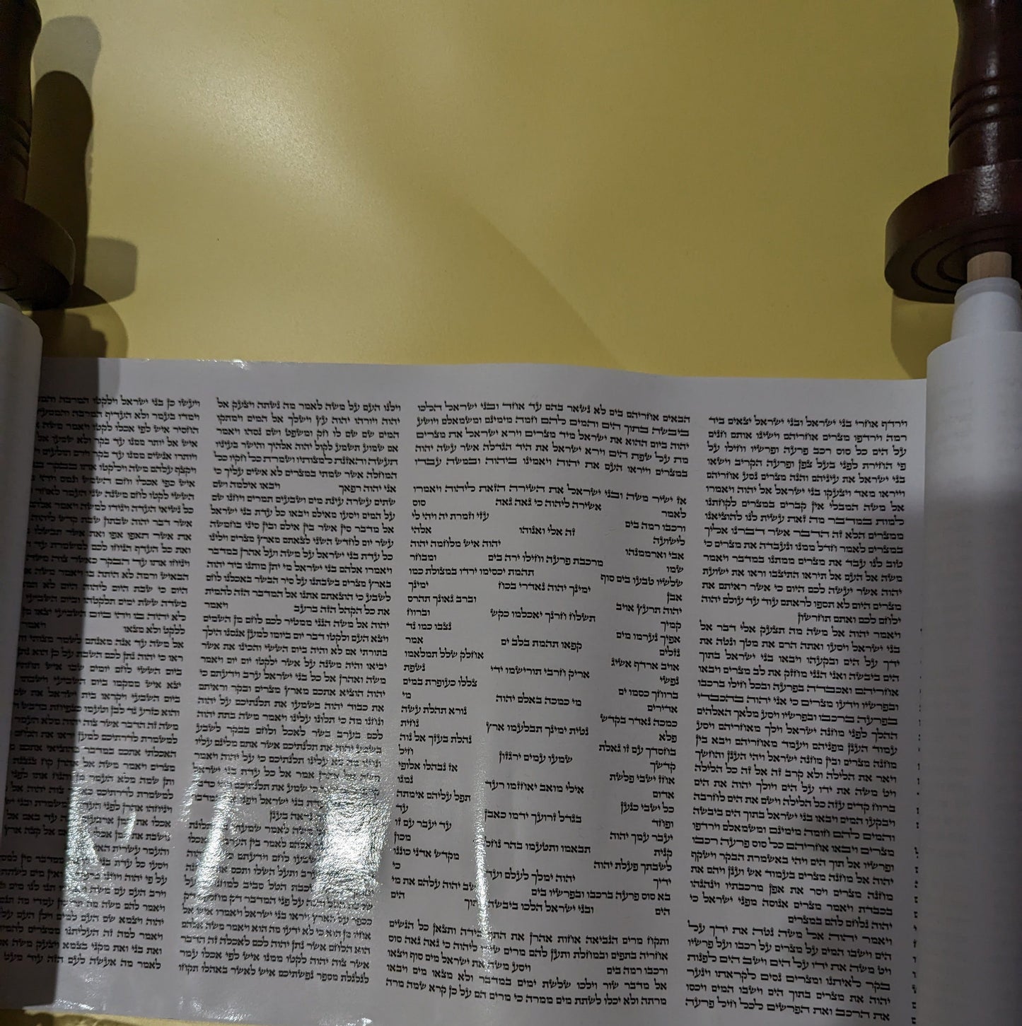 Printed Sefer Torah Scroll 17.5"