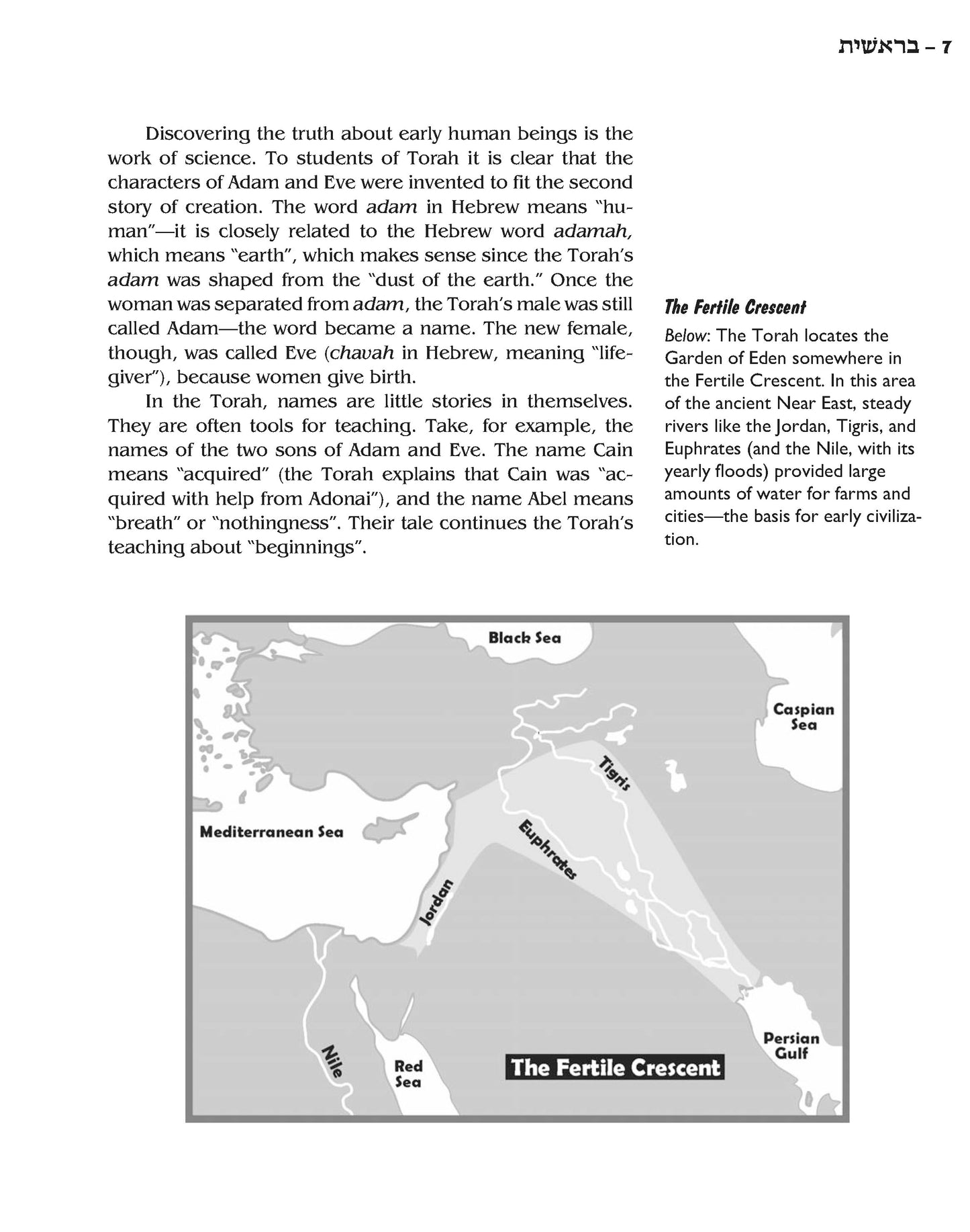 The Torah: Portion-by-Portion