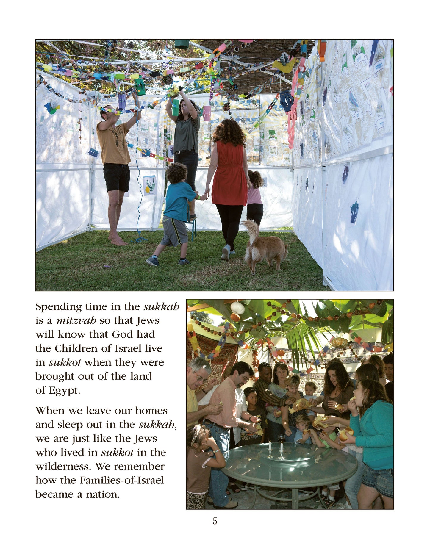 Celebrating Jewish holidays in a sukkah with family during Sukkot.