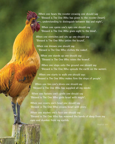 Pirkei T'fillah - Birkhot ha-Sahar & Nismim B'khol Yom