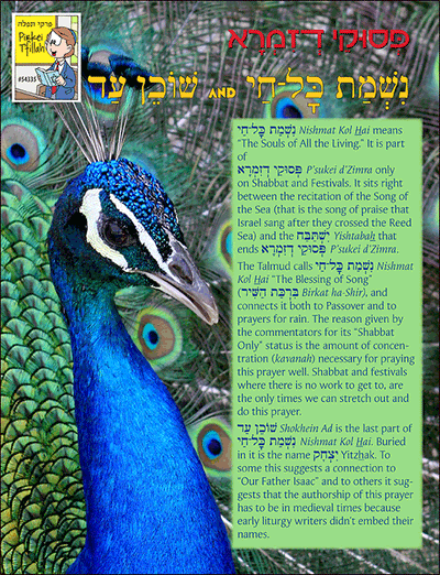 Pirkei T'fillah - Nishmat Kol hai - Shokhen Ad