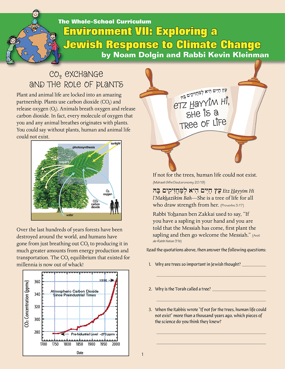 Jewish response to climate change curriculum for grades 7-8, focusing on school environment and sustainability.