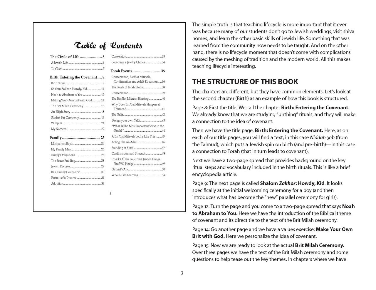 The Circle of Jewish Life Teacher Guide First Edition