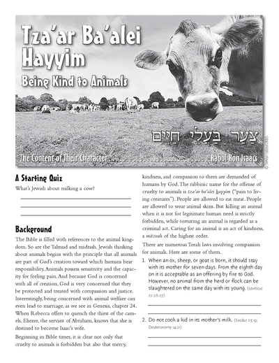Content of Their Character: Tz'ar Ba'alei Hayim ( Being Kind to Animals)