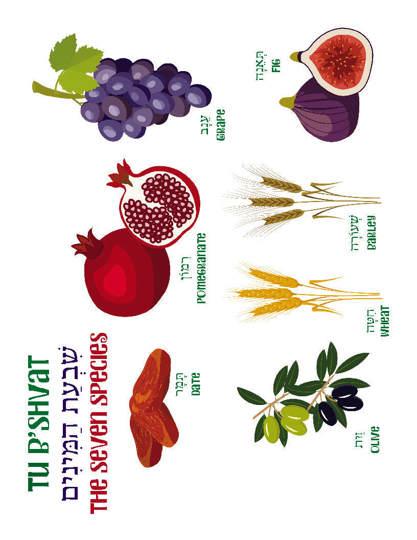 Tu B'Shvat seven species illustration with figs, grapes, wheat, barley, pomegranate, dates, and olives.