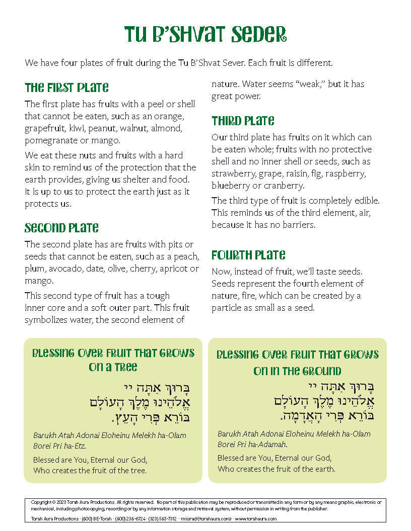 Tu B'Shvat seder instructional sheet with information on the Sheva Minim and blessings.