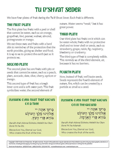 Tu B'Shvat seder instructional sheet with information on the Sheva Minim and blessings.