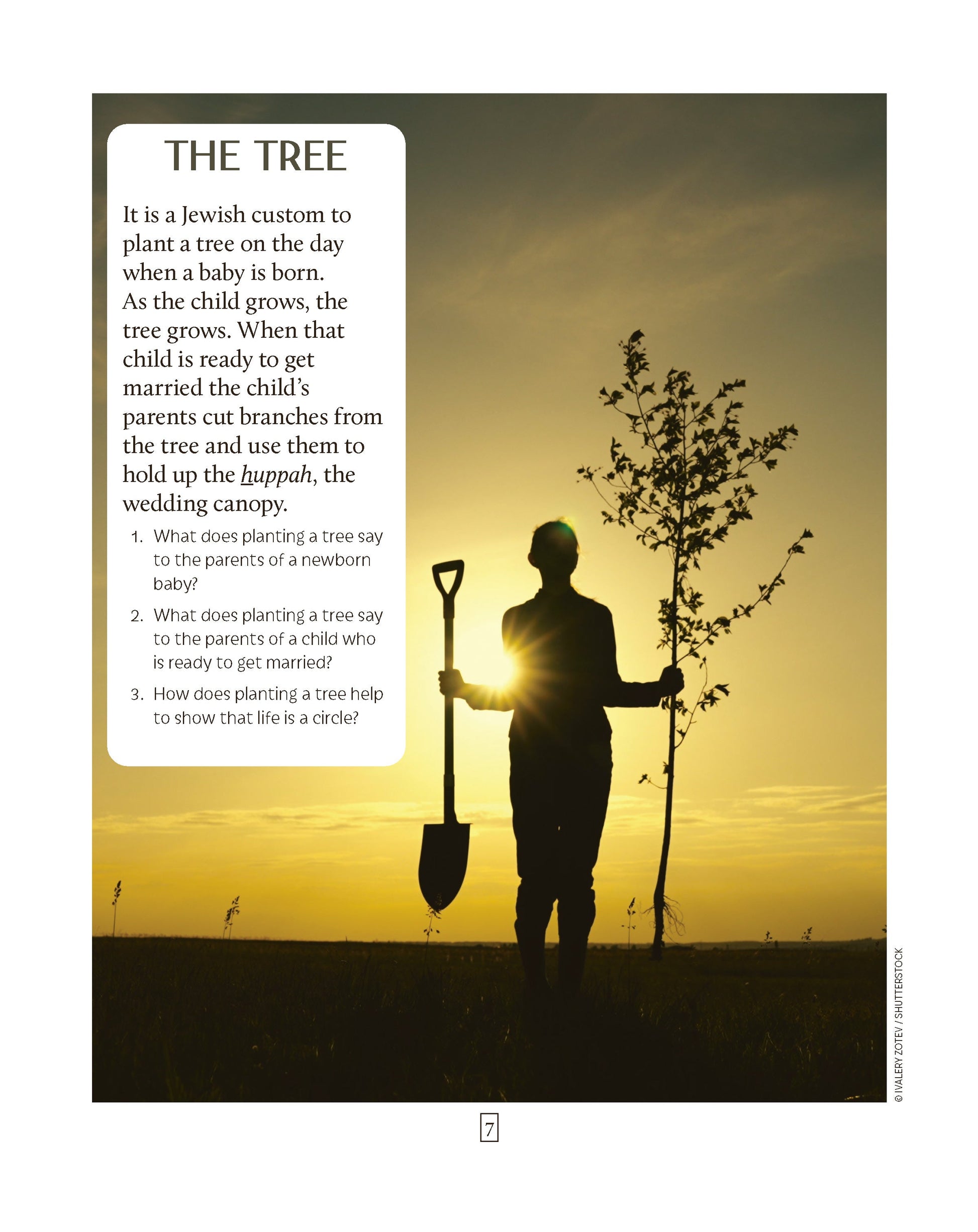 Jewish life textbook page showing a silhouette holding a tree and shovel during sunset, symbolizing growth and lifecycle events.