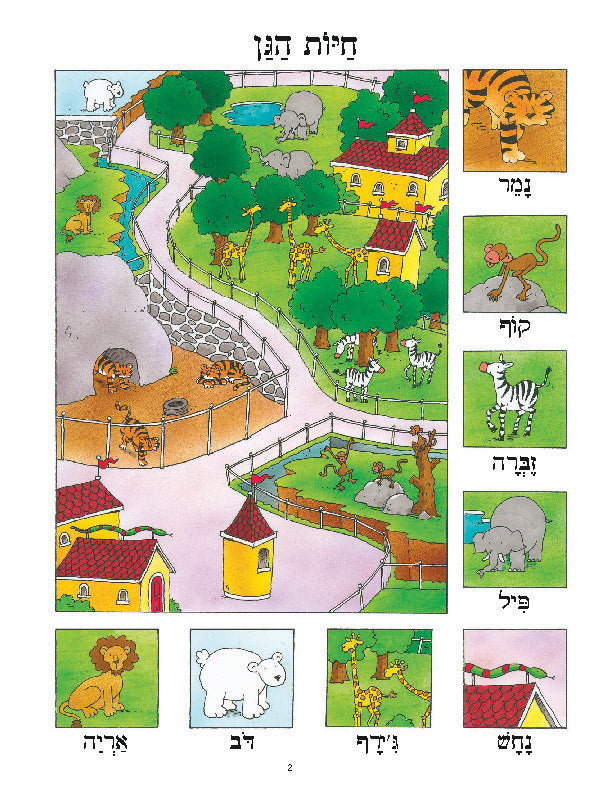 Daber Ivrit: Zoo Animals