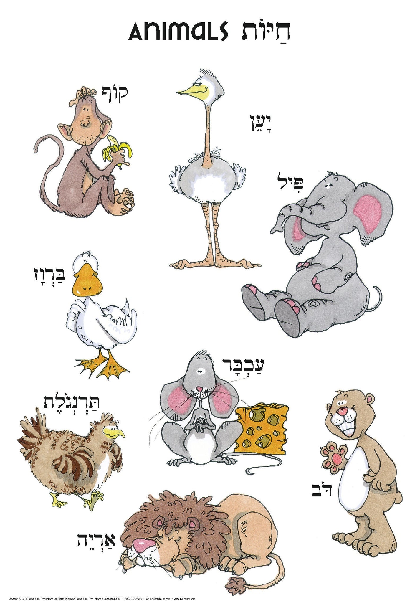 Hebrew Poster: Animals – Torah Aura Productions