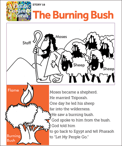 Child's Garden of Torah: The Burning Bush