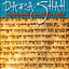 Parashah Experiencing the Weekly Torah Portion
