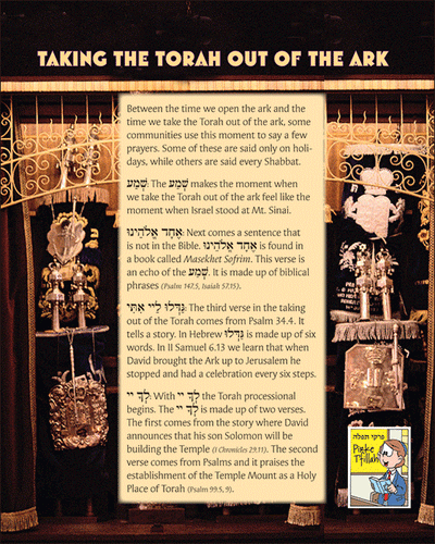 Pirkei T'fillah: Taking the Torah Out of the Ark