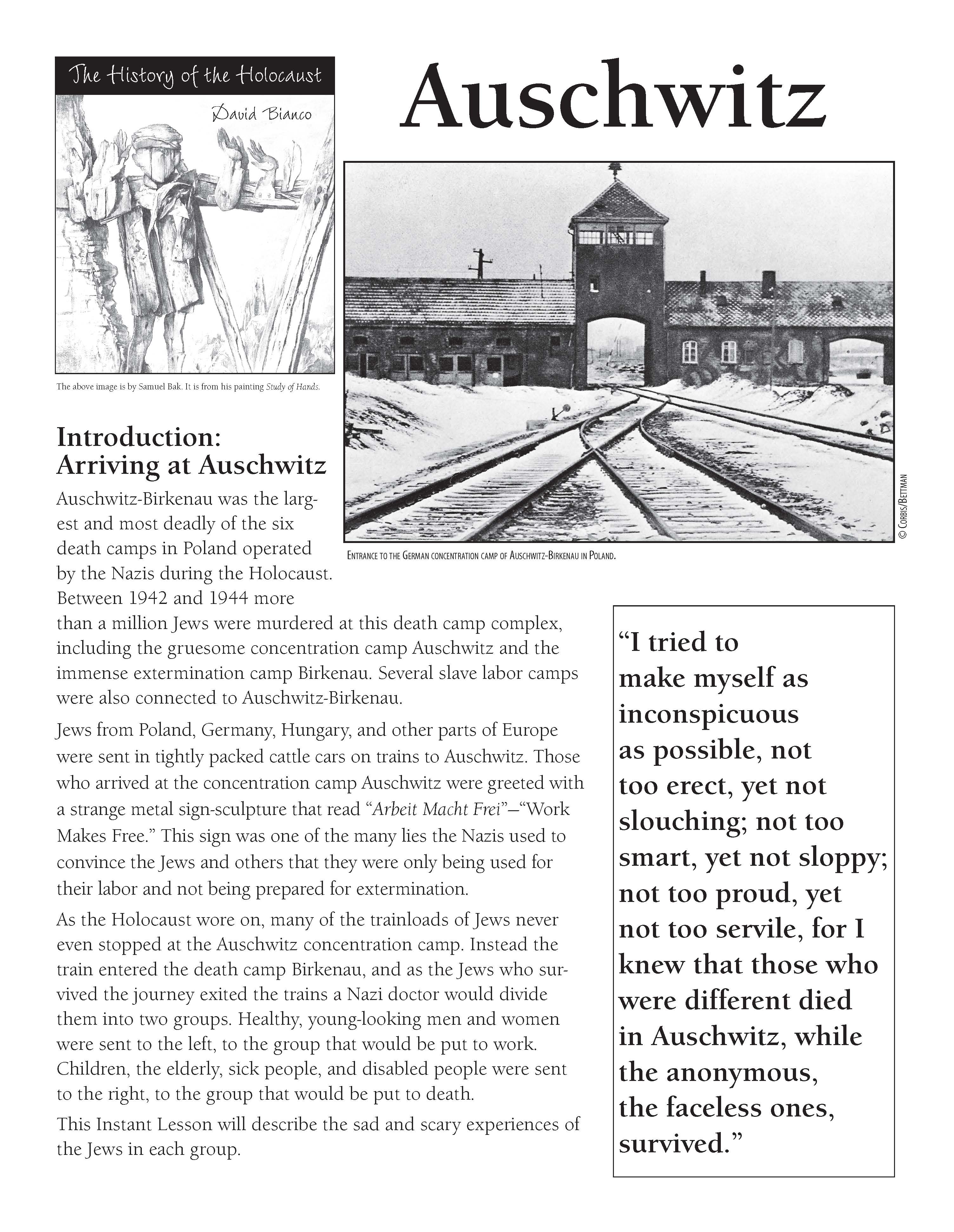 History of the Holocaust: Auschwitz – Torah Aura Productions