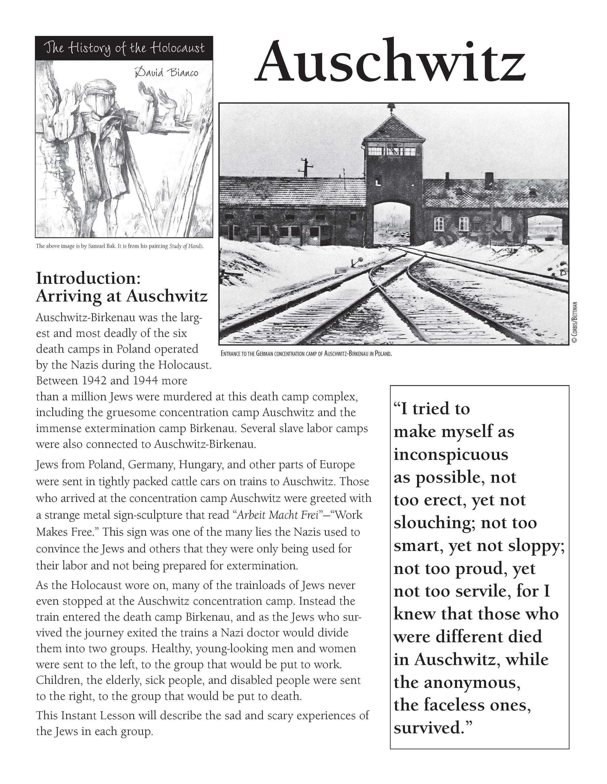 History of the Holocaust: Auschwitz
