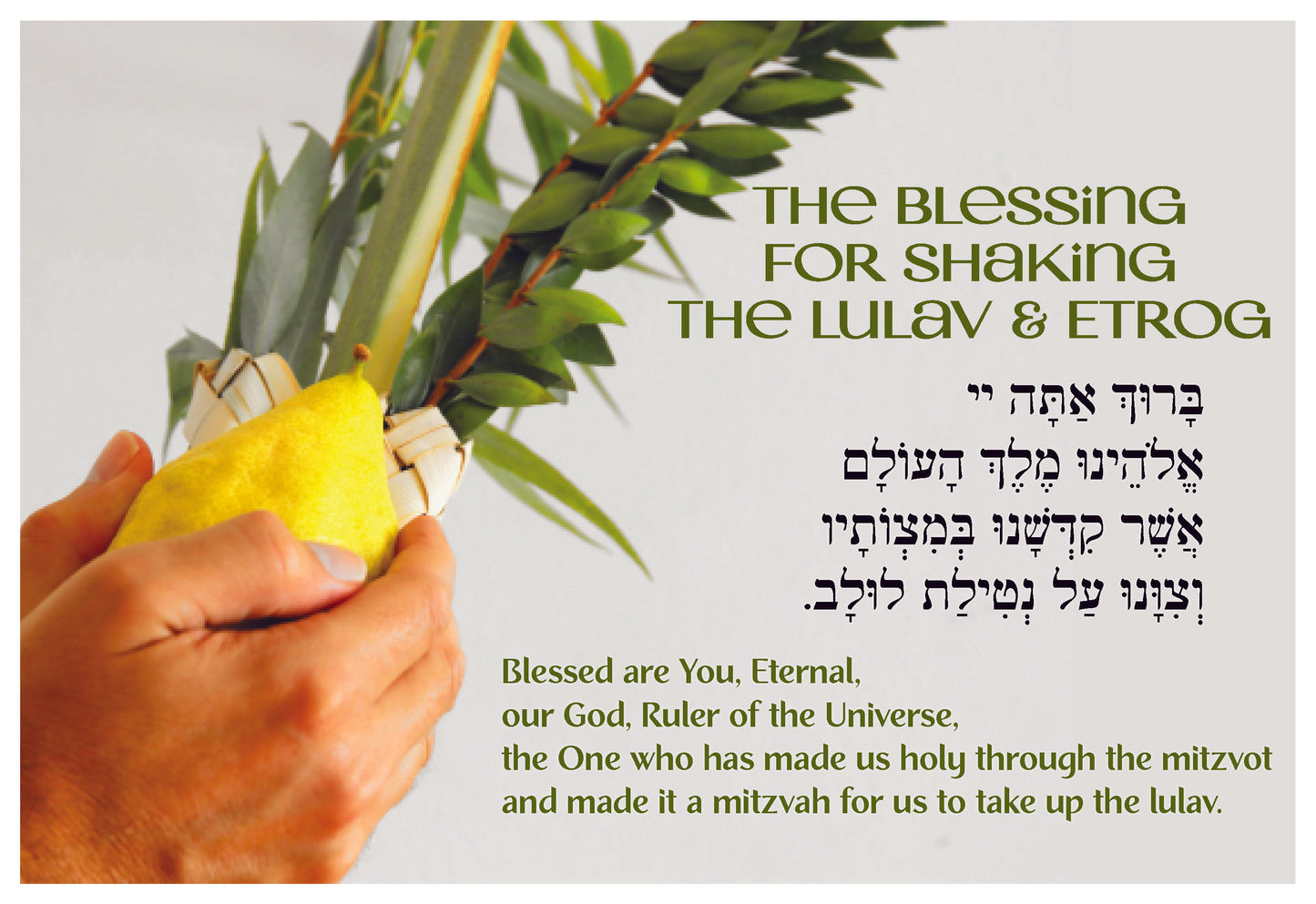 Sukkot: The Blessing for Shaking the Lulav & Etrog Poster